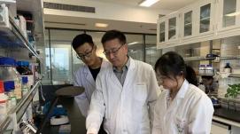 發(fā)現(xiàn)新蛋白！我省一研究成果首次入選“中國高等學(xué)校...