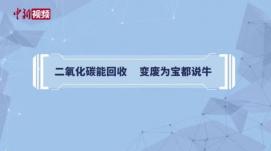 變廢為寶新路徑！ 中國科學(xué)家實(shí)現(xiàn)二氧化碳合成葡萄...